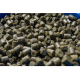 Pelete Sonubaits - Marine Green Feed Pellets 2mm 900g